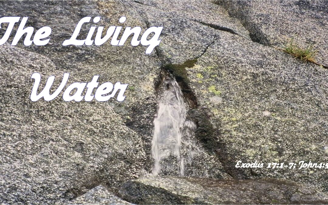 March 8, 2026 Worship Service