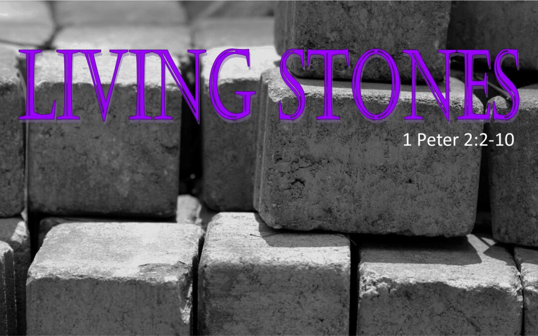 May 3, 2026 Worship Service