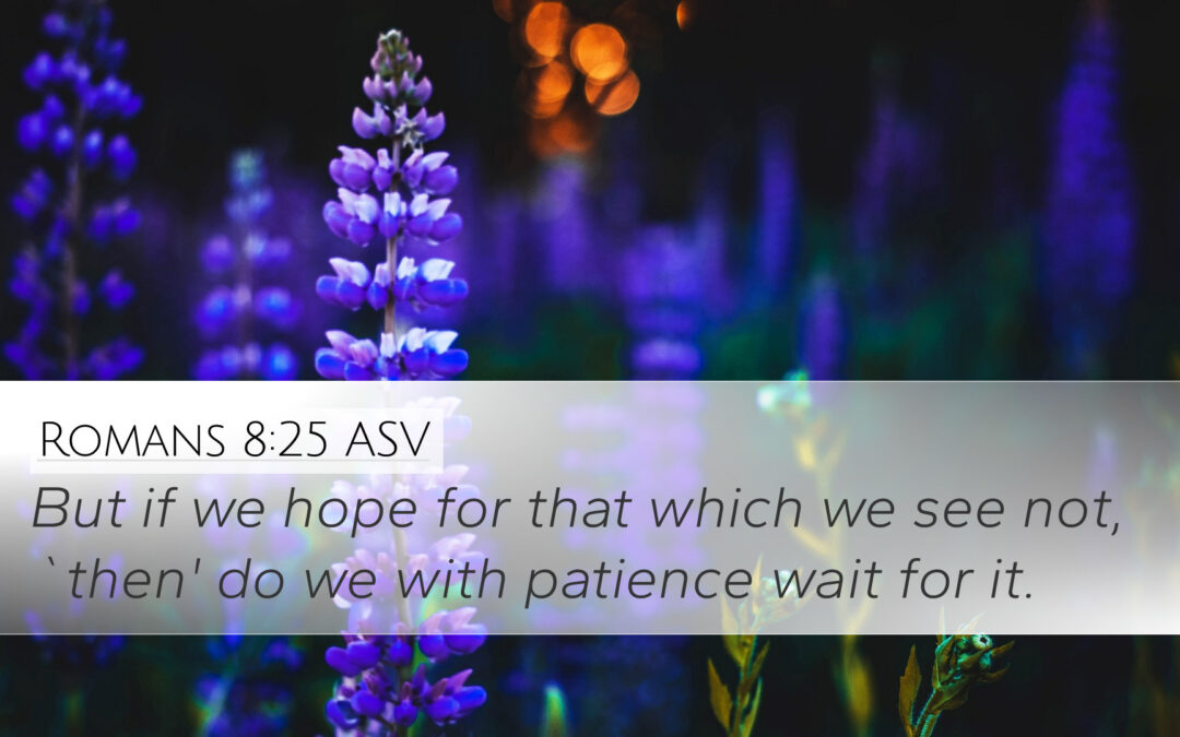 July 19, 2026 Worship Service